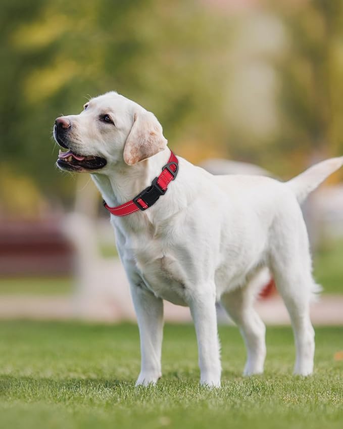 Joytale Large Dog Collar, Reflective and Adjustable Nylon Pet Collar with Quick-Release Buckle for Large Dogs, Red, L