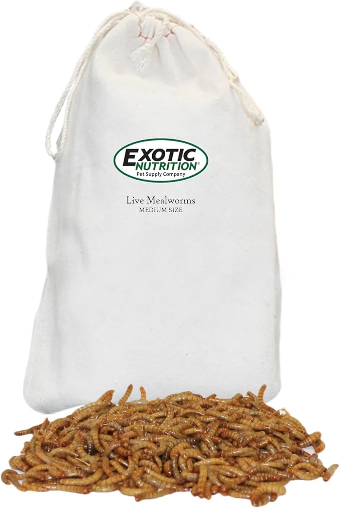 Exotic Nutrition Medium Live Mealworms (1/2") (4,000 Pack)