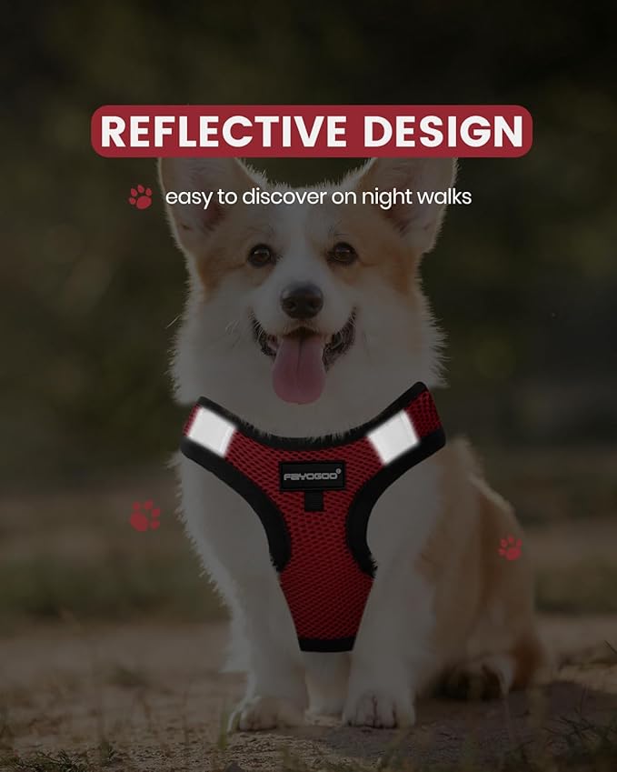 FAYOGOO Service Dog Vest for Small Breed - Lightweight Dog Harness with 6PCS Removable Patches - Puppy Harness and Leash Set for Walking,Training