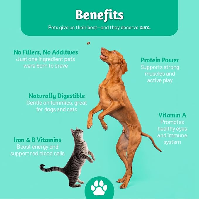Simplified Freeze Dried Beef Liver Treats for Dogs & Cats – 100% Natural Single Ingredient – High Protein Snack – All Breeds – Made in USA – 4oz Bag (Small size pieces for cats & dogs under 15lbs)