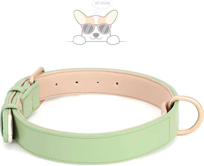 WHIPPY Leather Dog Collar for Small Medium Large Dog Adjustable Soft Breathable Leather Padded Puppy Collar with Alloy Buckle Heavy Duty Waterproof Classic Dog Pet Collar,Green