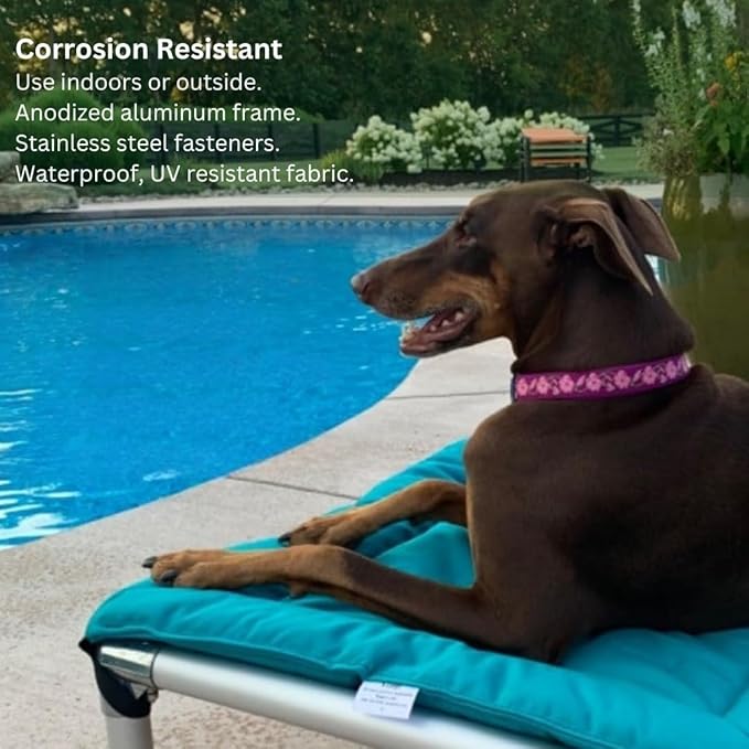 Kuranda Chewproof Elevated Pet Bed - Silver Aluminum - 25" x 18" - Sunsure Textilene - Birch
