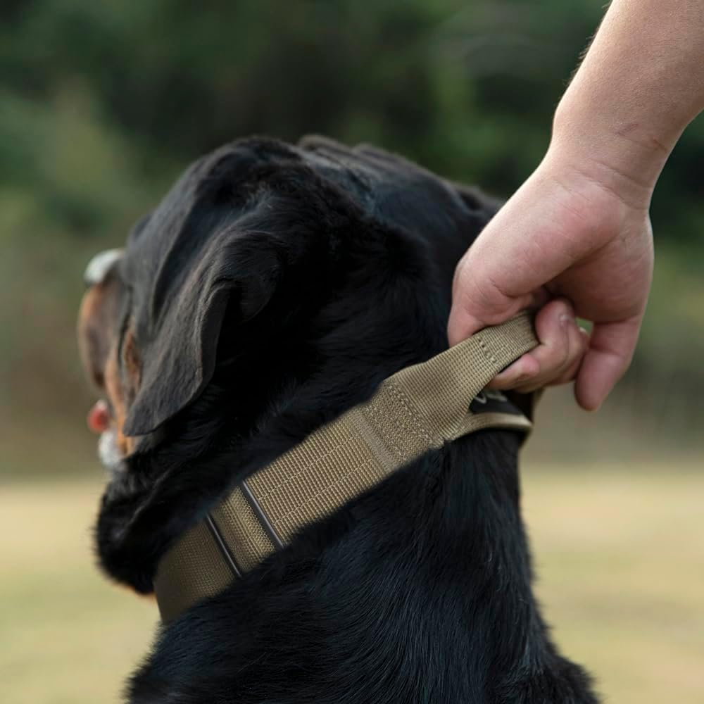 TSPRO Premium Dog Collars Tactical Dog Collar with Handle and Heavy Duty Quick-Release Metal Buckle Durable Thick and Adjustable for Medium to Large Dogs (Vitality Gradient M)