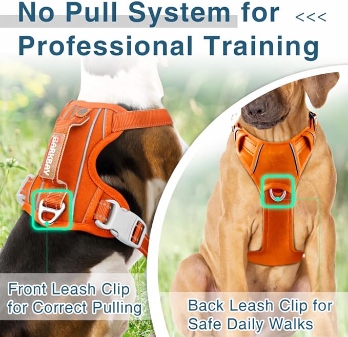BARKBAY Dog Harness No Pull Oxford with ID Tag Pocket - Heavy Duty, Reflective, Easy Control for Large Dogs(Pumpkin Oxford,XL)