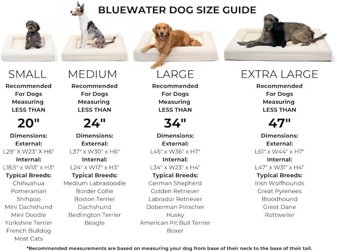 Luxury Boucle Orthopedic Memory Foam Dog Bed with Waterproof Liner and Machine Washable Cover with YKK Zippers (Medium 37" L x 30" W x 6" Th, Cloud)