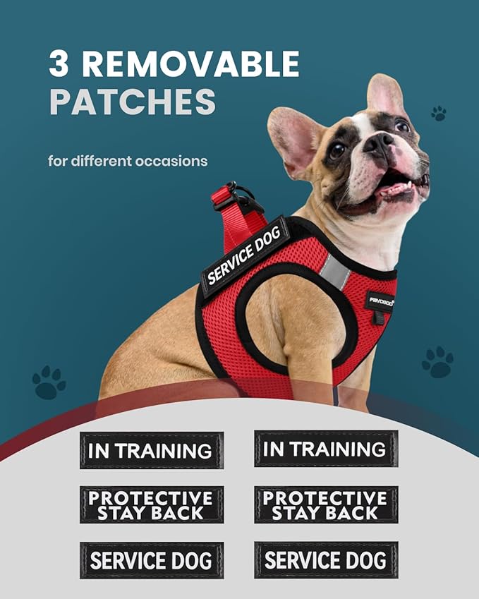 FAYOGOO Service Dog Vest for Small Dogs - Lightweight Dog Harness with 6PCS Removable Patches - Puppy Harness and Leash Set for Walking,Training