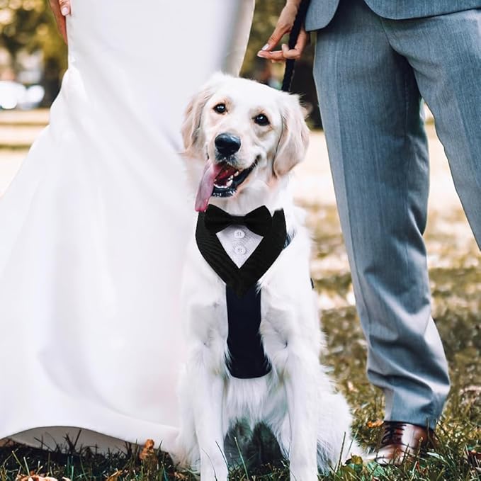 Formal Dog Tuxedo Adjustable Pet Collar with Bow, Small, Medium and Large Dog Wedding Clothing, Birthday Gifts