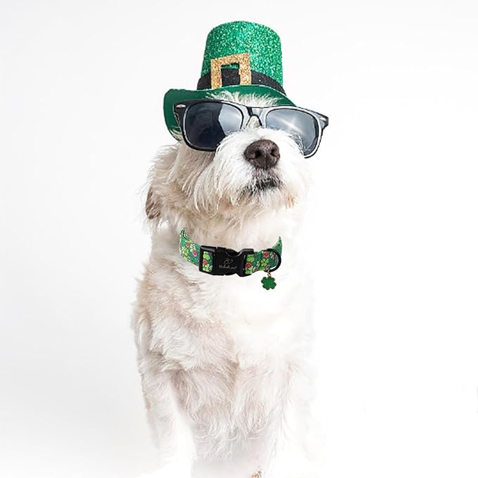 St Patricks Day Dog Collar for Large Dogs - Lucky Flower Shamrock Green Dog Collars, Cute Irish Clover Puppy Collar with Quick Release Buckle for Girls&Boys Dogs L
