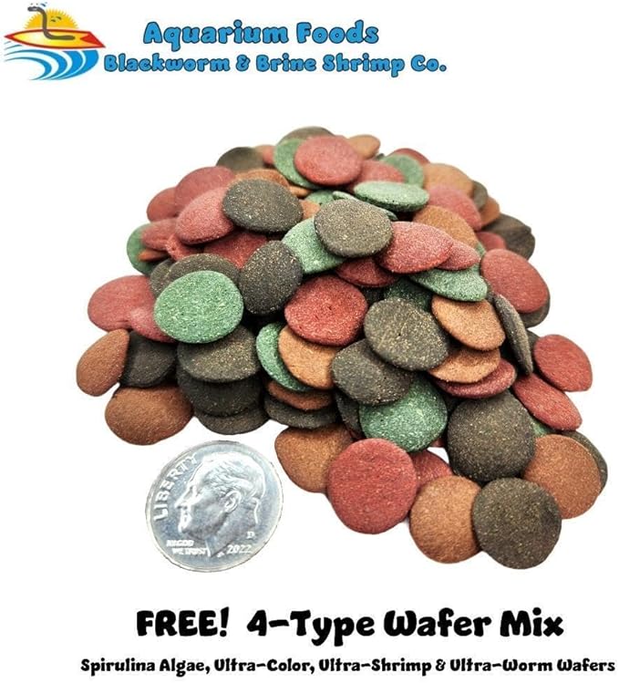 Aquatic Foods Inc. Red River Shrimp - Freeze-Dried 1/2" to 1&1/4" Red River Shrimp for Cichlids, Koi & Pond Fish, Aquatic Turtles, All Community Tropical Fish, Reptiles, Rodents…1.5oz Sm Round Jar