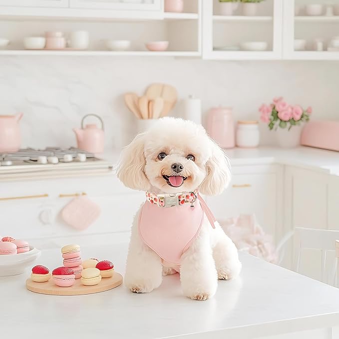 Strawberry Dog Collar for Medium Dogs - Cute Spring Pink Dog Collars, Summer Pastel Puppy Collars, Soft Adjustable Boy Girl Dogs Collar with Quick-Release Buckle M
