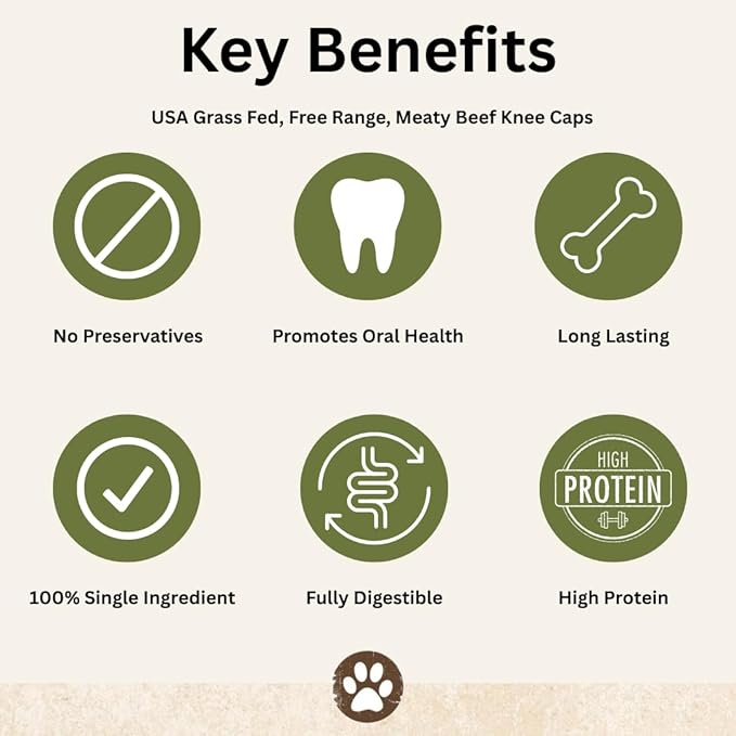 Top Dog Chews – Knee Caps, 20 Count, Dog Beef Chew Bones, Long Lasting Treats for Aggressive Chewers, Perfect for Large Medium, or Small Dogs, Made in USA