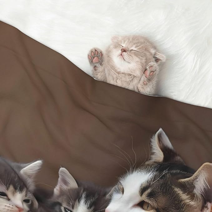 Cat Family Print Soft Plush Pet Blanket, Washable Dog Blanket, Cat Fleece Throw, Puppy Bed Crate Mat & Sofa Couch Protector - Large