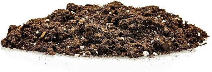 Gardenera RA Premium Snake Plant Potting Soil Mix, Green Sansevieria Trifascatia Zeylanica Plants, Plant or Re-Pot Your Snake Plant - (4 Quart Bag), (SNAKE-PLANT-4QT)