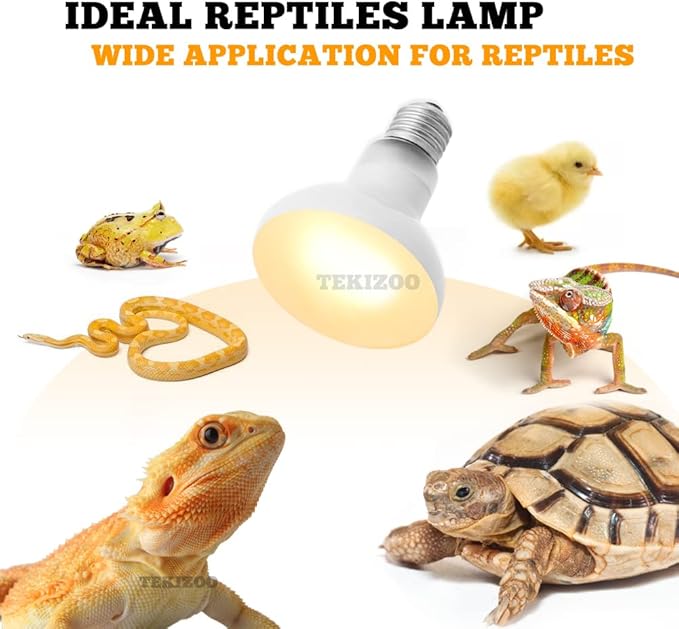 Heat Lamp Bulbs Reptile Basking Light Spot Daylight for Bearded Dragon,Lizard,Tortoise,Amphibian 100W(2 Pack)