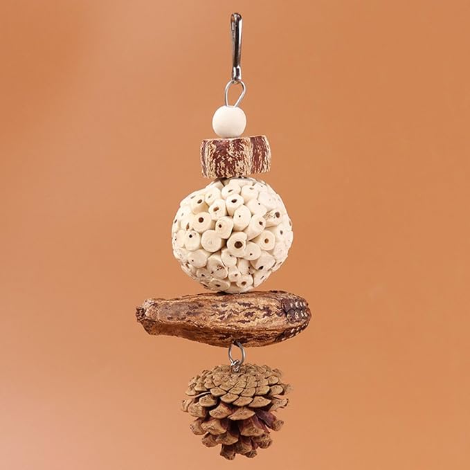 Bird Chew Toy for Pet Bird Parrot Sola Ball Natural Nuts Pinecone Chewing Toy for Small Parakeet Cockatiel Conures Finch Budgie (S)