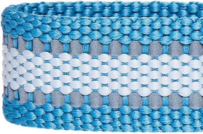 Blueberry Pet Essentials Matching Small Dog Collar | Adjustable Classic Solid Color Nylon Dog Collars for Small Dogs | Reflective Sky Blue Dog Collar for Small Dogs