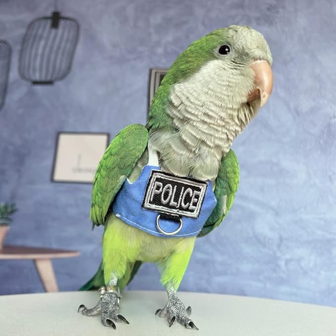 Bird Flight Harness Vest, Parrot Flight Suit with Leash, Bird Flying Clothes with Rope and Handle for Outdoor Activities (Without Leash,Lorikeet)