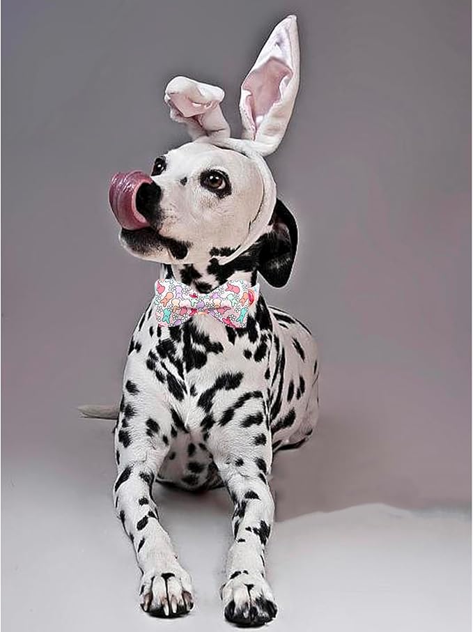 Lionheart glory Dog Bow Collar Easter Day Dog Collar for Medium Dogs,Rabbits Dog Collars with Bowtie Colorful Dog Collar Spring Collars Pet Collar Bows