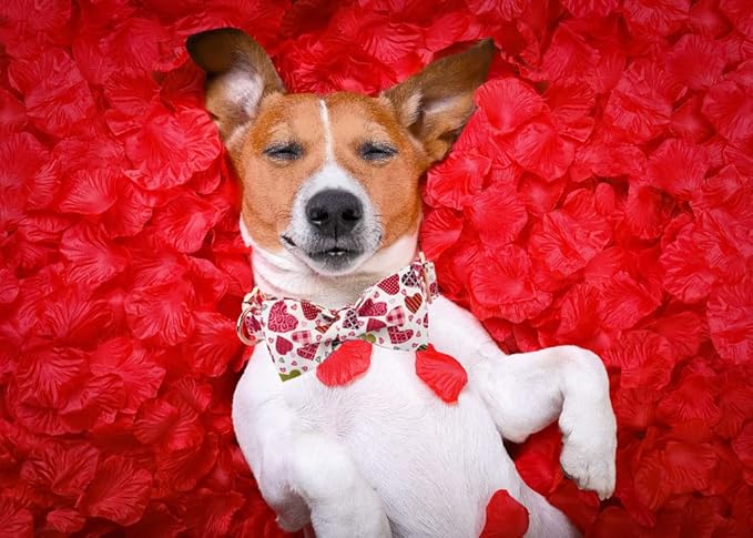 Lionheart glory Heart Dog Collar, Adjustable Dog Collar with Bowtie, Pet Gift Collar for Dog Soft Bowtie Dog Collars for X-Large Dogs