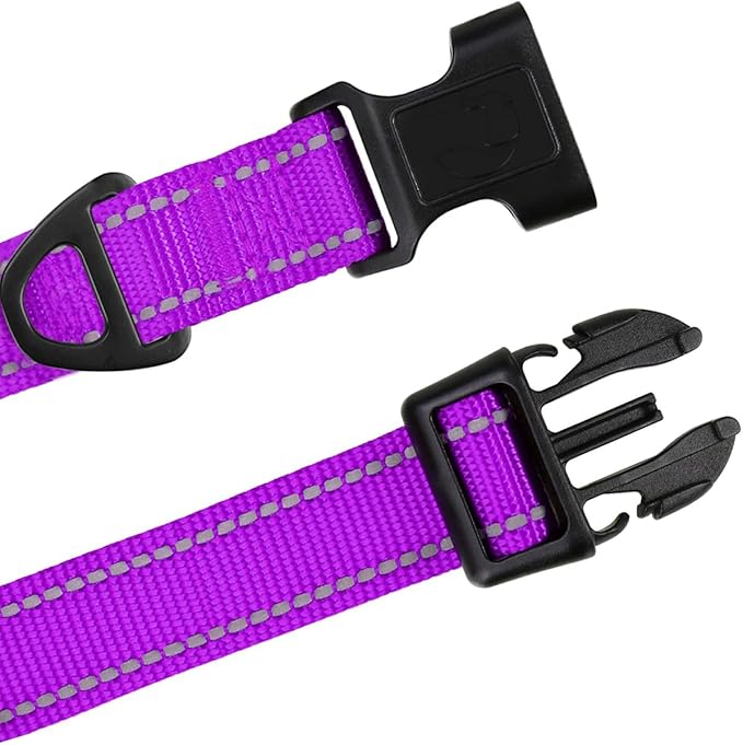 TagME Reflective Nylon Dog Collars, Adjustable Classic Pet Collar with Quick Release Buckle for Small Dogs, Purple, 5/8" Width