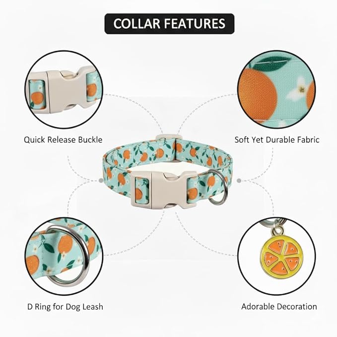 Dog Collar, Spring Summer Dog Collar with Orange Print and Charm, Cute Spring Summer Fruit Collar with Soft & Breathable Fabric, Adjustable Pet Collar for Small Dogs