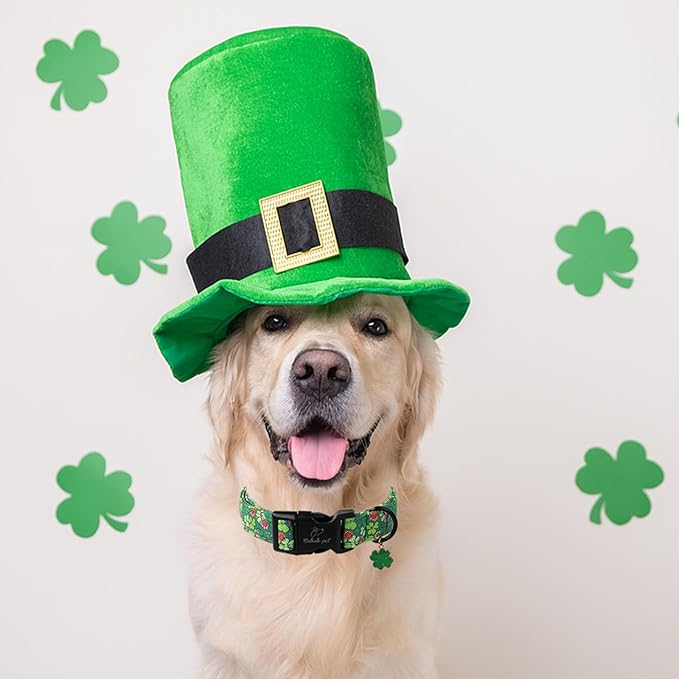 St Patricks Day Dog Collar for Giant Large Dogs - Lucky Flower Shamrock Green Dog Collars, Cute Irish Clover Puppy Collar with Quick Release Buckle for Girls&Boys Dogs XL