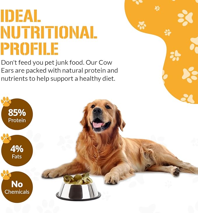 Dog Chits Cow Ears for Dogs – All Natural Cow Ear Dog Treats & Training Chews – High Protein, Low Fat – Thick Cut, Full-Sized – Dental Clean Crunch – Ideal for Medium & Large Dogs – Large, 10 Pk