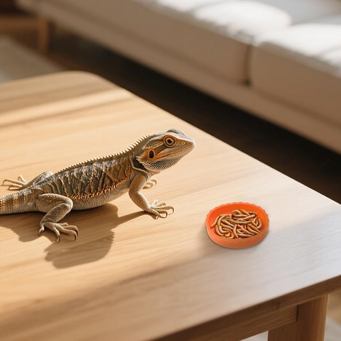 6 PCS Crested Gecko Food and Water Bowl, Reusable Silicone Reptile Feeding Cups for Lizard Anoles Bearded Dragons Tank Terrarium Accessories Supplies for Tortoise, Crab and Small Pet 6 Colors