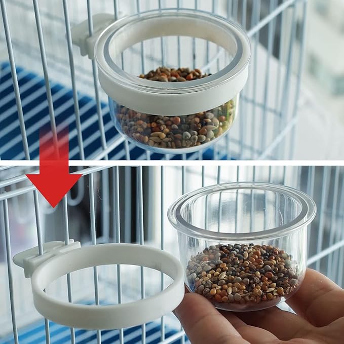 4 pcs Detachable Transparent Bowls for Canary Finch Parrot Seed Water Feeder