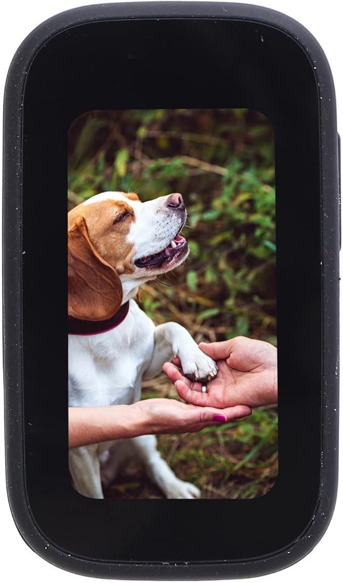 Pet Body Worn Camera, HD Resolution Wearable Body Cam for Dogs and Cats, Water Pet Action Camera with Lightweight Design for Outdoor Travel and Adventures (Black)