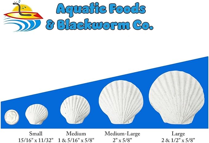 Aquatic Foods Inc. Calcium Feeder Small & Medium Shells. Extra Thick Shells for Shrimp, Snails, Crabs, Crayfish, Hermit Crabs and All Tropical Fish…125 Count Bag