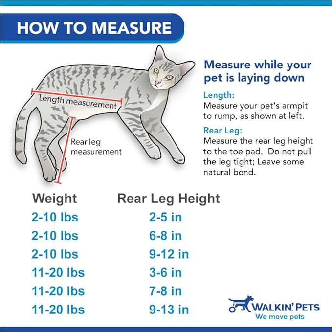 Walkin' Wheels Lightweight – for Small Cats 2 to 20 Pounds – Veterinarian Approved – Cat Wheelchair for Back Legs, for Cats 11-20 lbs, 3-6 inches Leg Height – Seafoam