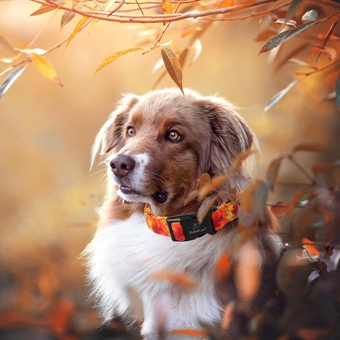 Fall Dog Collar, Gold Maple Leaves Pattern Fall Thansgiving Puppy Collar, Soft Adjustable Cotton Holiday Dog Collars for Small Medium Large Boy&Girl Dogs XS