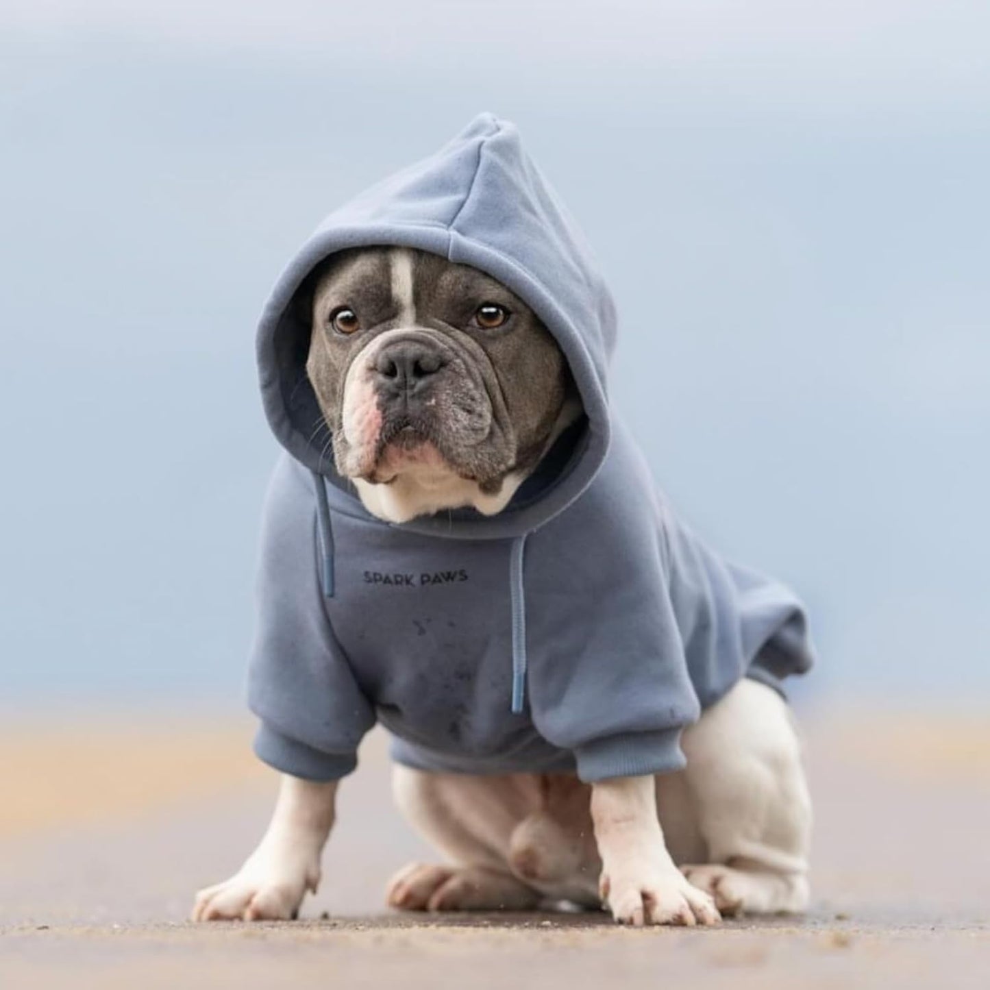 Spark Paws Dog Hoodie – Premium Dog Sweater for Small, Medium, and Large Dogs | Warm Outfits for French Bulldogs, Pitbull, Puppy, Winter Jacket Alternative - Slate Blue - S