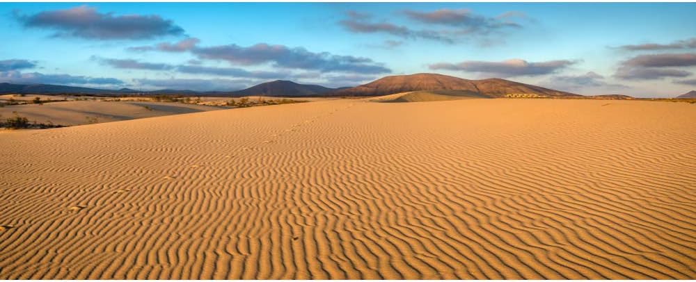 Renaiss 15x8ft Desert Photography Backdrop Golden Ripple Desert Mountain Sand Dunes Blue Sky Gobi Scenery Background Nature Landscape Backgrounds Wilderness Photo Video Shoot Studio Props