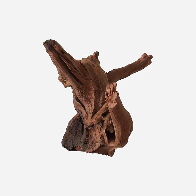 LYPHARD AQUARIUMS Natural Driftwood for Aquarium Decor, L11.81×W12.2×H9.84 Inches Large Drift Wood Decorations for Reptile Hide, Fish Tank, Optional Shapes
