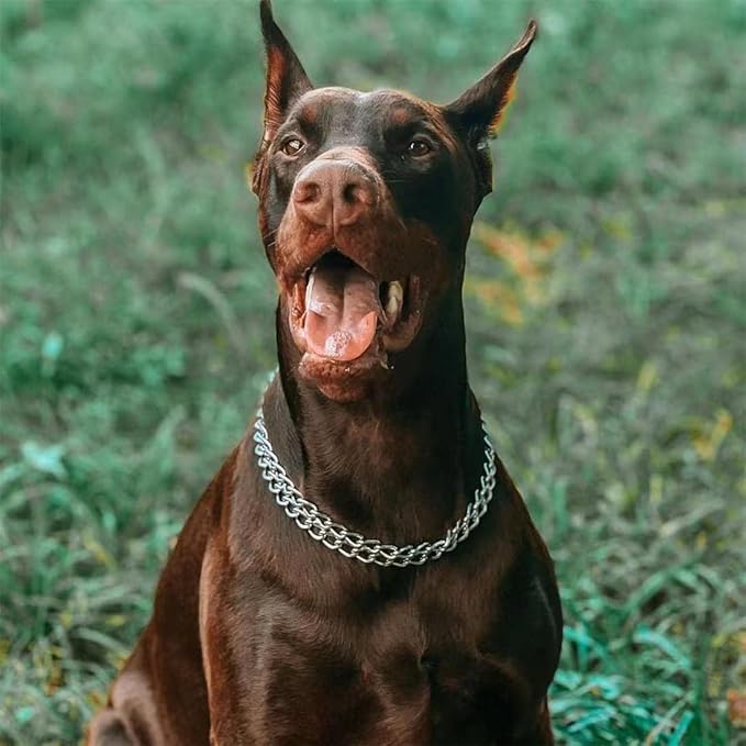 Silver Dog Choker Collar,2 Rows Stainless Steel Dog Chain Cuban Link Metal Martingale Collar Heavy Duty Training Choke Collar for Small Medium Large Big Breed (Silver, L(Neck Max 20inch) D3.0mm)