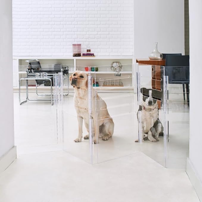 Clear Acrylic Medium Dog Crate Furniture with Linen Cushion for Medium Dogs up to 40 lbs, 3 in 1 Pet Crate and Gate, Modern Furniture Style Indoor Kennel, Dual Silver Latch, 20 x 30 x 22 in
