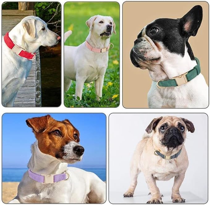 Soft Cotton Dog Collar with Metal Buckle Adjustable Heavy Duty Comfy Corduroy Collars for Small Medium Large Dogs,Red,Small