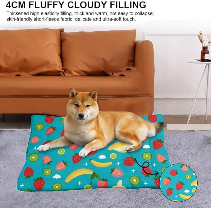 Mixed Fruit Turquoise Blue Pets Bed Dog Bed Mats Pad for Dog Crate Washable Beds for Crates Washable Non-Slip Crate Liner Pad Medium Cage Mat Kennel Accessories Indoor Outdoor 36X24 Inch