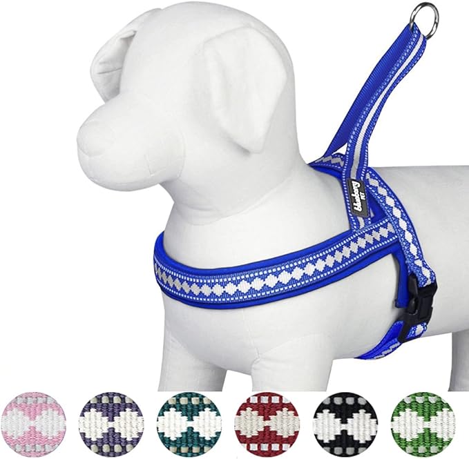Blueberry Pet 4 Colors Soft & Comfy 3M Reflective Jacquard Padded Dog Harness, Chest Girth 19" - 23.5", Palace Blue, XS/S, Adjustable Harnesses for Dogs