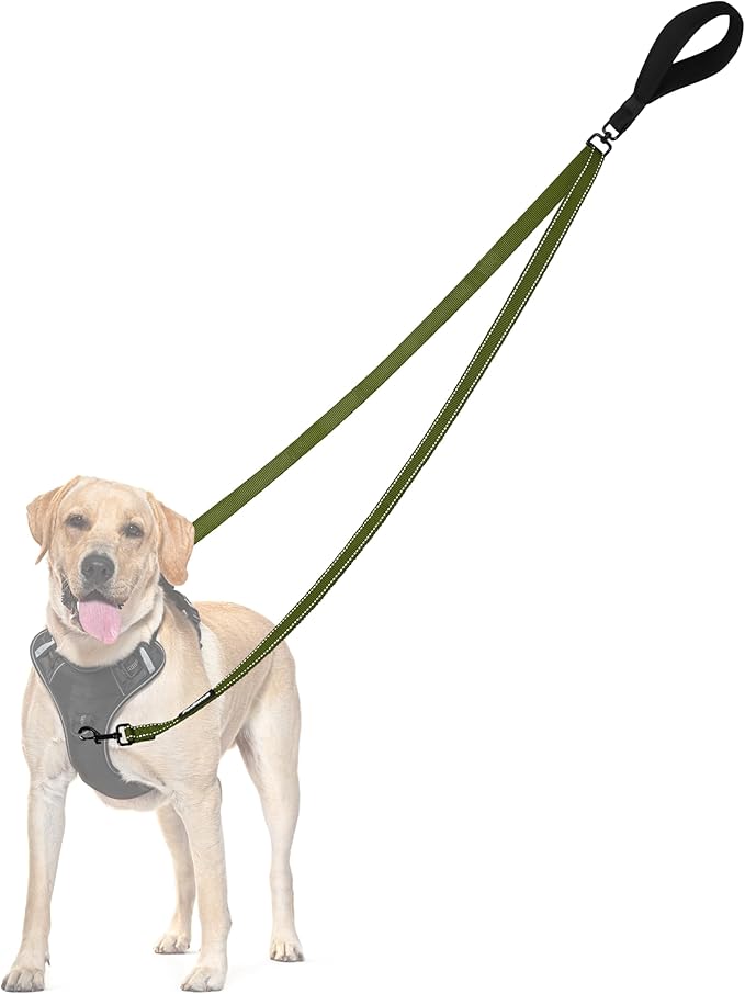 PetBonus Two Point Control Dog Leash, Works with No Pull Harnesses, No Tangle Training Leashes, Soft Padded and Reflective Walking Lead, Converts to Single Lead for Medium Large Dogs (Khaki Green)