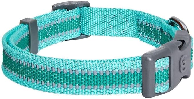 Blueberry Pet Essentials Matching Small Dog Collar | Adjustable Classic Solid Color Nylon Dog Collars for Small Dogs | Reflective Minty Green Dog Collar for Small Dogs