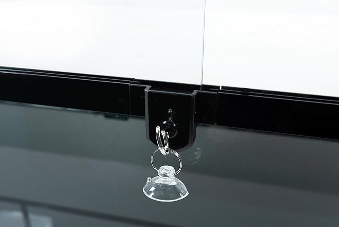 CAROLINACUSTOMCAGES 48Lx24Wx48H Bio Deep Glass Reptile Terrarium; Easy Assembly