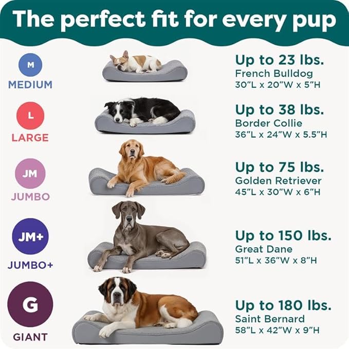 FurHaven Orthopedic Dog Bed for Large Dogs, Luxe Lounger Contour Mattress with Solid Orthopedic Foam Slab for Joint Support, Removable Washable Cover, Jumbo XL, Plush Suede, Cream