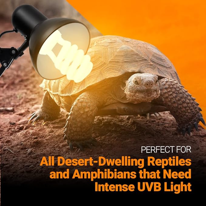 Bluex Bulbs 2 Pack 13-Watt Reptile Light - Intense UVA/UVB, 15.0 UVB, Compact Florescent, Suitable for Desert Reptiles & Amphibians, Promotes Natural Behavior, CFL Bulb (UVB 15.0)