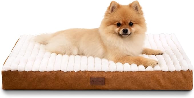 Orthopedic Dog Bed with Firm High-Density Egg Crate Foam Mattress,Soft Short Plush Surface Pet Beds,Machine Washable with Removable Cover & Non-Slip Bottom for Small Breeds(Brown, 23"L x 17"W x 3"H)