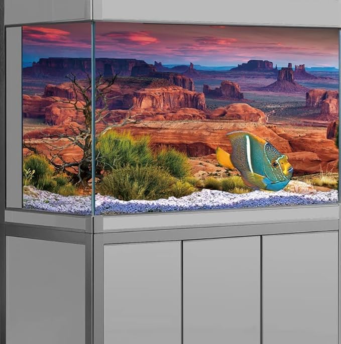 72X24IN Desert Loess Rock Cactus Oasis Reptile Habitat Background, Natural Sunset Desert Themed Terrarium Background, Aquarium Background with 10 EVA Double-Sided Tape