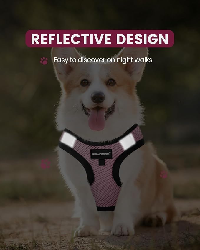FAYOGOO Service Dog Vest for Small and Medium Breed - Lightweight Dog Harness with 6PCS Removable Patches - Puppy Harness and Leash Set for Walking, Training