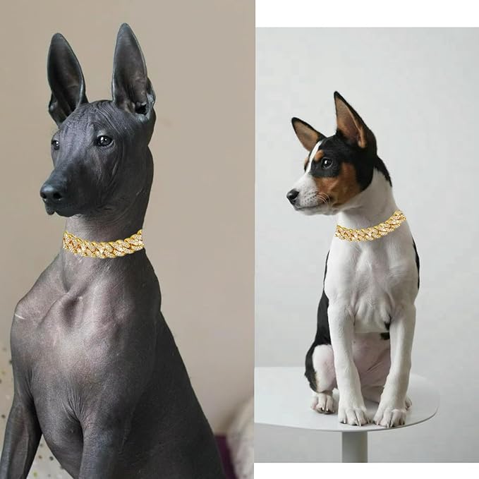 Luxury Cuban Link Dog Collar Gold Crystal Secure Buckle Metal Chain Necklace Jewelry for for Small Medium Large Dog Cats(Glod 8inch)